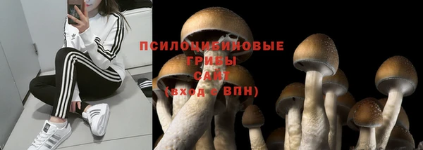 твердый Аркадак