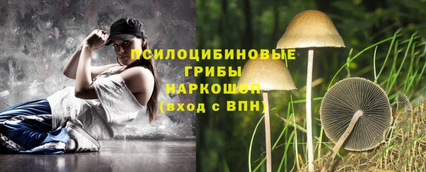 твердый Аркадак