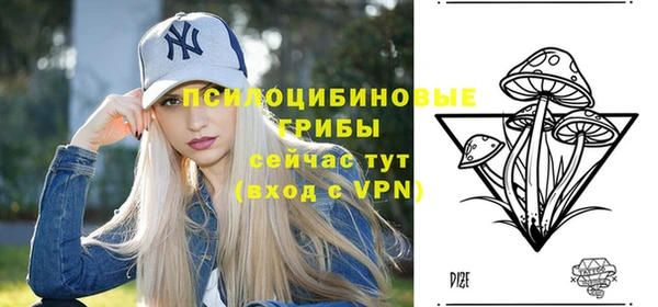 твердый Аркадак