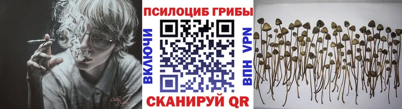 Псилоцибиновые грибы Magic Shrooms  магазин    Родники 