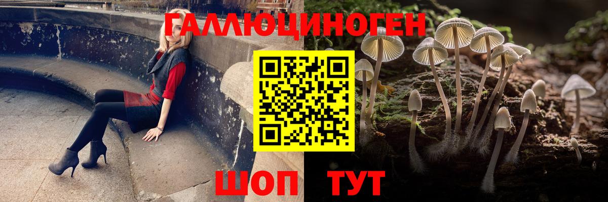 Родники  Галлюциногенные грибы GOLDEN TEACHER  Вход с VPN 